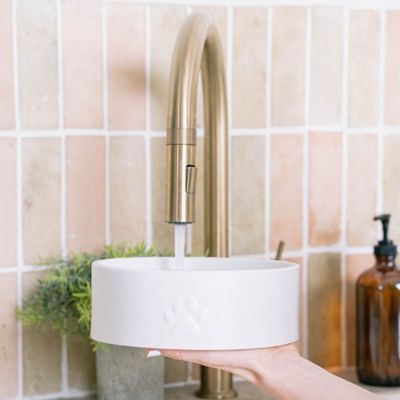 Image showing  Ceramic Dog Bowl 50 oz. - Stylish & Functional Pet Feeding Dish