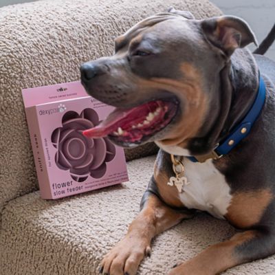 Image showing  Flower Slow Feeder - Dog & Pet Mealtime Accessory