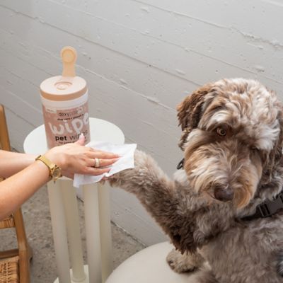 Image showing  Pet Cleansing Wipes Canister - 200 ct. - Gentle Wet Wipes For Cats & Dogs