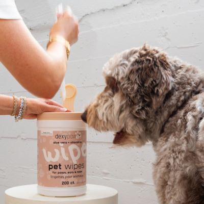 Image showing  Pet Cleansing Wipes Canister - 200 ct. - Gentle Wet Wipes For Cats & Dogs