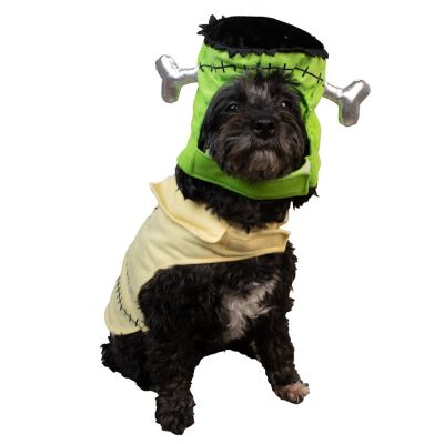 Retriever Greenonster Costume