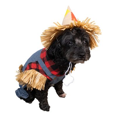 Retriever Farmer Costume