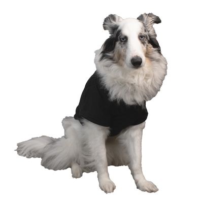 Image showing  Dancing Skeletons Tee