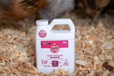 Image showing  Zen House Cherry Blossom