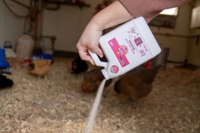 Image showing  Zen House Cherry Blossom