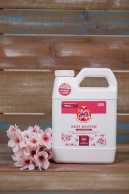 Image showing  Zen House Cherry Blossom