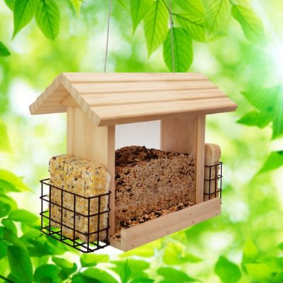 Image showing  Impeckable Suet & Seed Birdfeeder