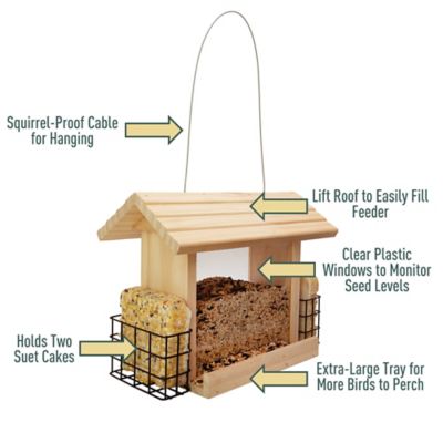 Image showing  Impeckable Suet & Seed Birdfeeder