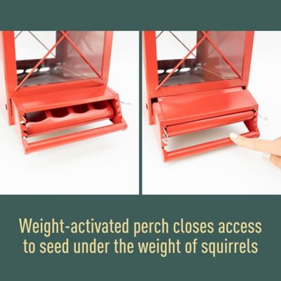 Image showing  Red Barn Squirrel Resistant Birdfeeder