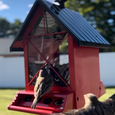 Image showing 8 th North States Red Barn Squirrel Resistant Birdfeeder