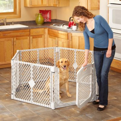 Image showing 7 th MyPet Petyard Plus 6-Panel Pet Pen With Door