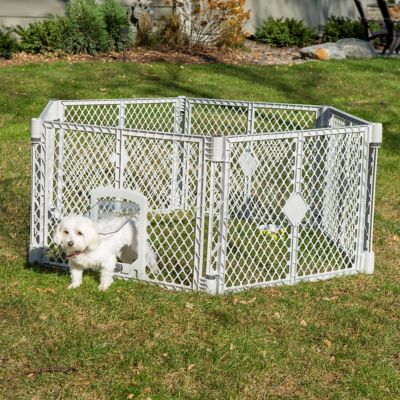 Image showing  Petyard 6-Panel Pen And Gate Small Door