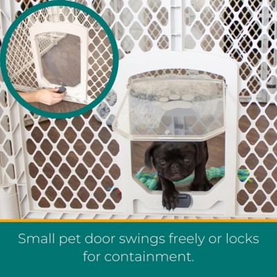 Image showing  Petyard 6-Panel Pen And Gate Small Door