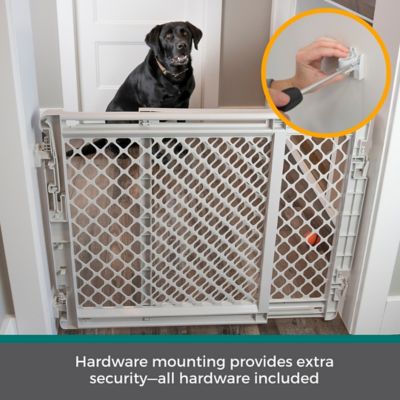 Image showing  2-in-1 Easy Swing Petgate