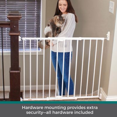 Image showing  Wide Clearpath Staircase & Hallway Petgate