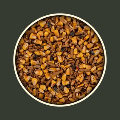 Image showing  Elite Feed Blend Grain Deer Feed, 40 lb. Bag