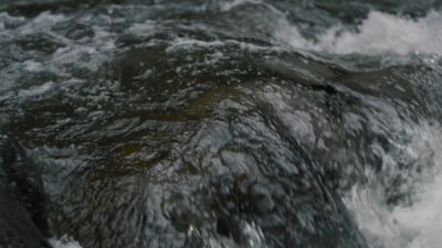 Image showing  Beef with Real Superfoods Jerky Dog Treats, 25 oz.