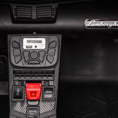 Image showing 8 th Freddo 24V Lamborghini Aventador with Brushless Motor with Differential 2 Seater Ride on Car for Kids, FR8877-PINK