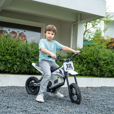 Image showing  36V Electric Dirt Bike for Teens, FR6336-WHITE
