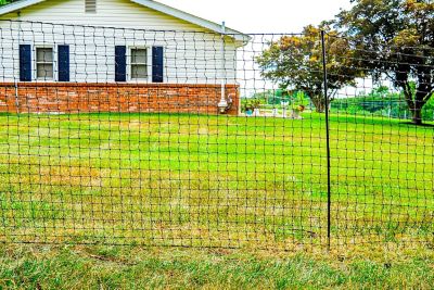 Image showing  Non-Electric Multiuse Fence