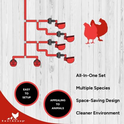 Image showing  Sip Station Starter Kit for poultry