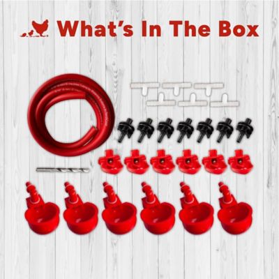 Image showing 6 th RentACoop Sip Station Starter Kit for poultry