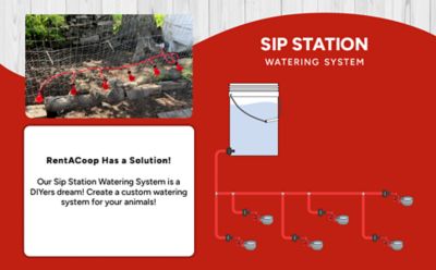 Image showing  Sip Station Starter Kit for small animals