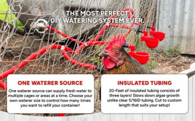 Image showing  Sip Station 5/16 in. ID Insulated Tubing