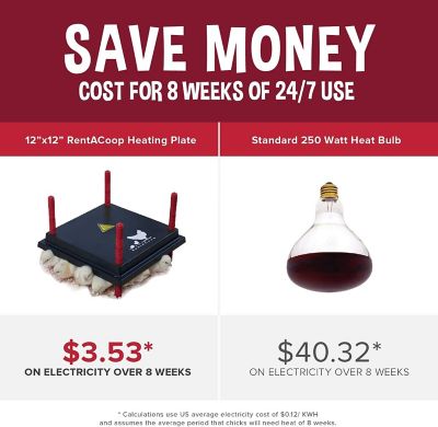 Image showing  Heating Plate & Hard Anti-Roost Cone, 12 x 12 in.