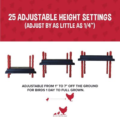 Image showing  Heating Plate & Hard Anti-Roost Cone, 12 x 12 in.