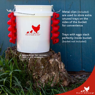 Image showing  Egg Trays - Pack of 7