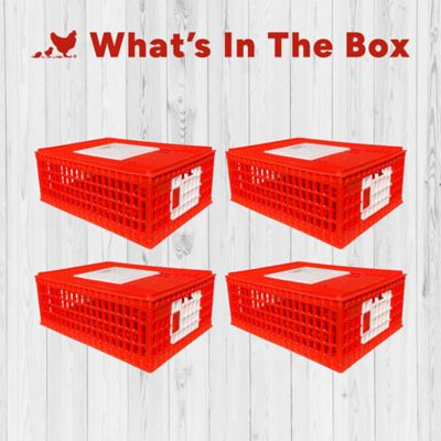 Image showing  Poultry Carrier Crate - 4 Pack