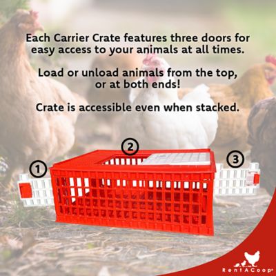 Image showing  Poultry Carrier Crate - 4 Pack