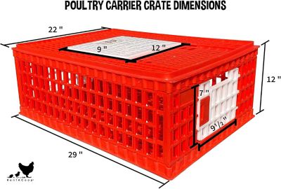 Image showing  Poultry Carrier Crate - 4 Pack