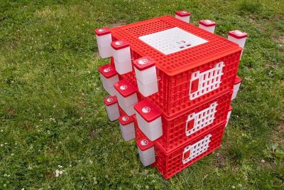 Image showing 6 th RentACoop Poultry Carrier Crate - 4 Pack