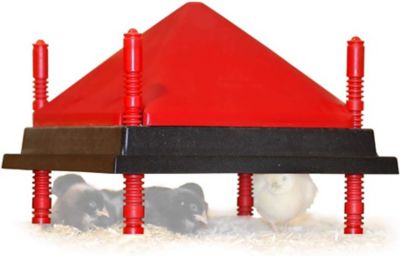 Image showing  Heating Plate & Hard Anti-Roost Cone Set
