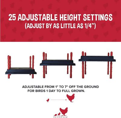 Image showing  Heating Plate & Hard Anti-Roost Cone Set