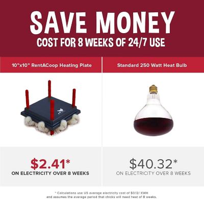 Image showing  Heating Plate & Hard Anti-Roost Cone Set