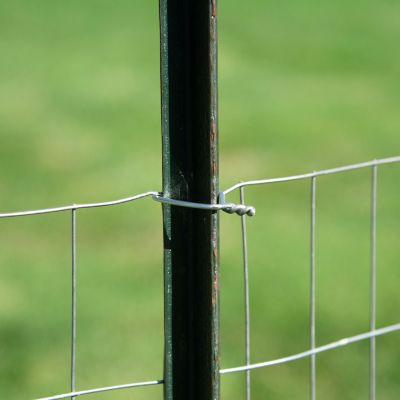 Image showing  Tie Wire T-Post 200 pc. / Pack