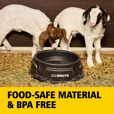 Image showing 9 th Rubbermaid BRUTE Heavy-Duty Feed Pan, 2220945