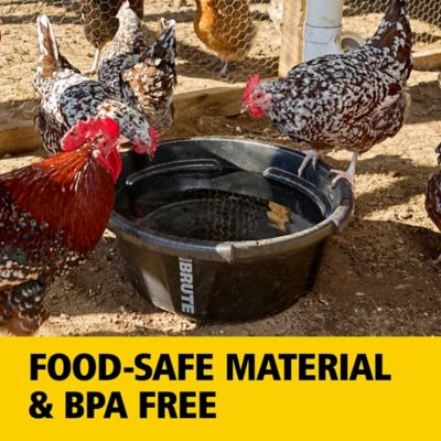 Image showing 8 th Rubbermaid BRUTE Heavy-Duty Feed Pan, 2220948