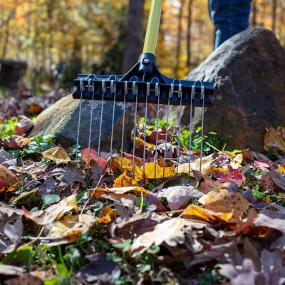 Image showing  6 in. Mini Rake with Yellow Handle, 99352