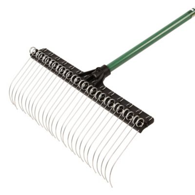 Image showing  21 in. Rake with 55 in. Green Handle