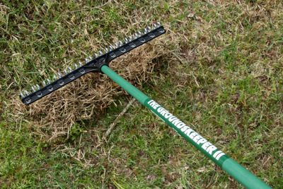Image showing 5 th The Groundskeeper II 21 in. Rake with 55 in. Green Handle