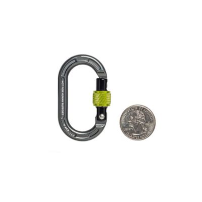 Image showing  Micro Carabiner Screw Gate (99379)