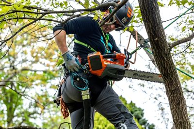 Image showing  Quick Cinch Chainsaw Lanyard