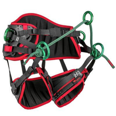Image showing  treeMOTION Pro Saddle