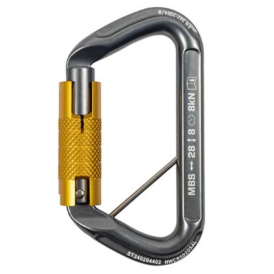 Image showing  Safe D Autolock Carabiner (99748)