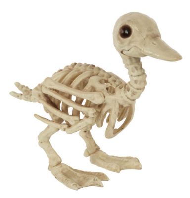 Red Shed 7.5 in. Duckling Skeleton