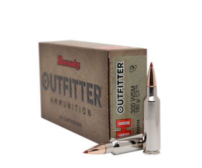 Image showing  Ammo 300 Wsm 180 GR CX OTF